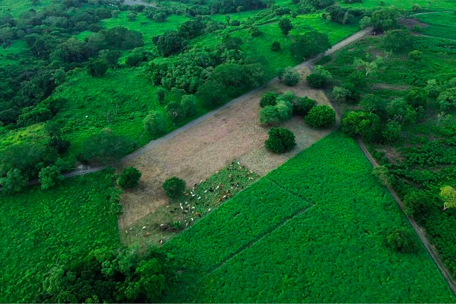 Vista aérea de rancho escuela