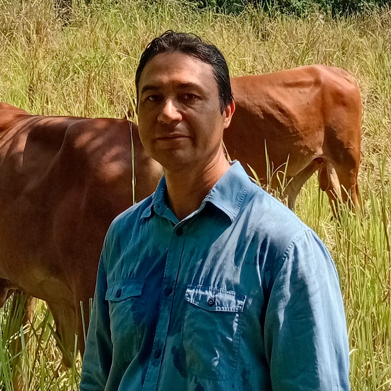 Dr. Cándido Enrique Guerra Medina